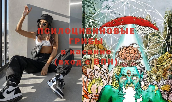 PSILOCYBIN Абдулино