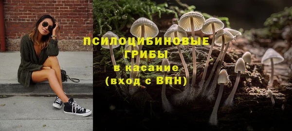 PSILOCYBIN Абдулино