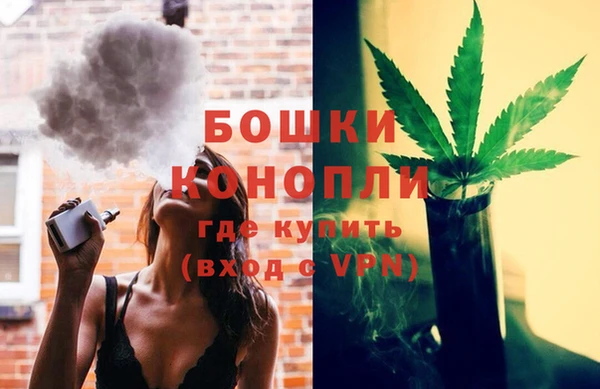 PSILOCYBIN Абдулино