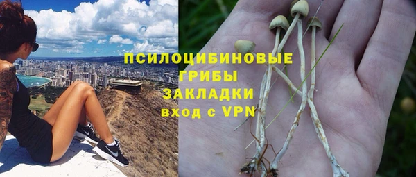 PSILOCYBIN Абдулино