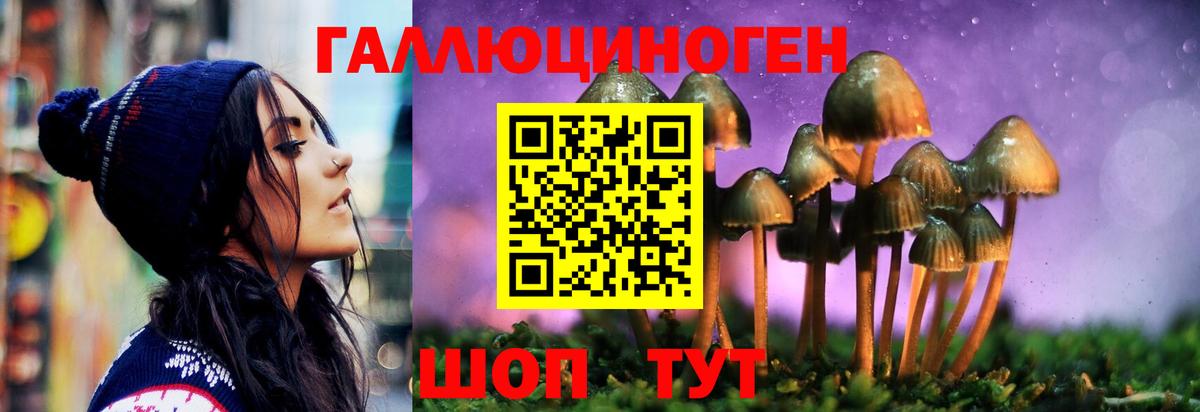 Кандалакша  купить   Вход с VPN  Галлюциногенные грибы MAGIC MUSHROOMS 